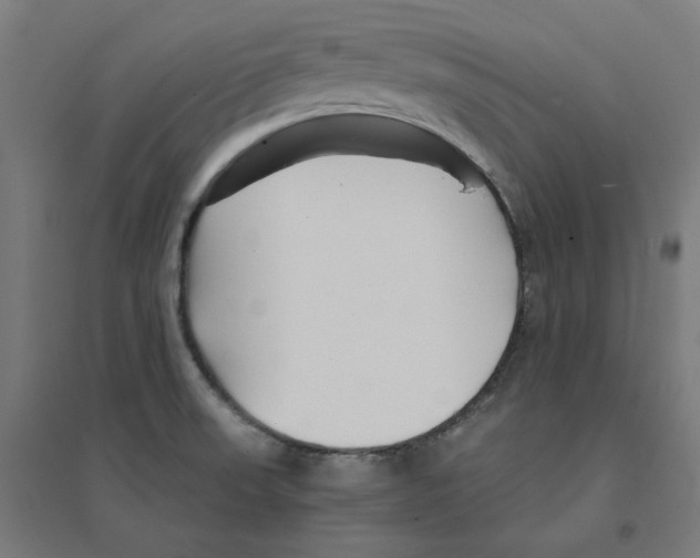 X0000094431523200712061103