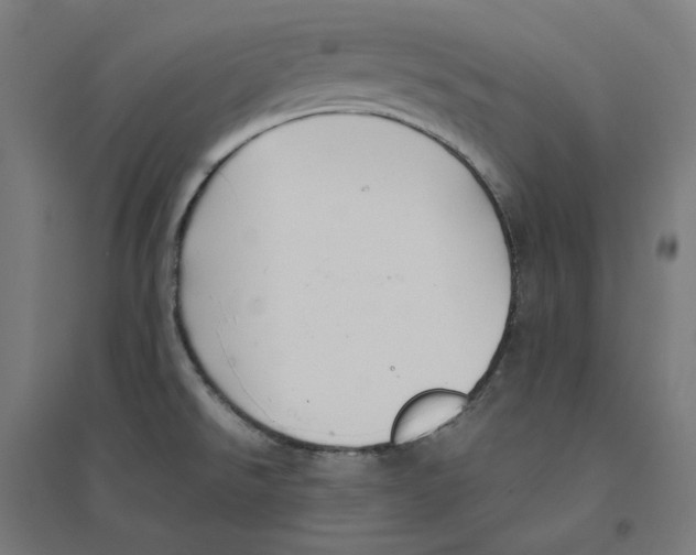 X0000094431526200712061103