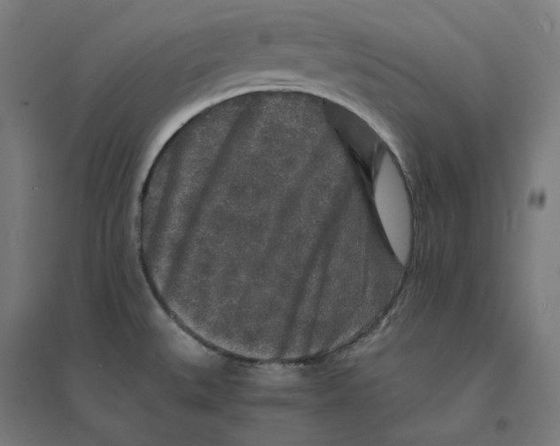 X0000094431527200712061103