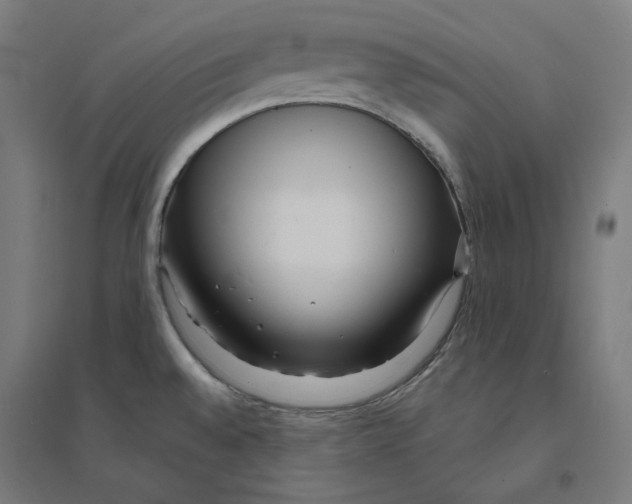 X0000094431528200712061103