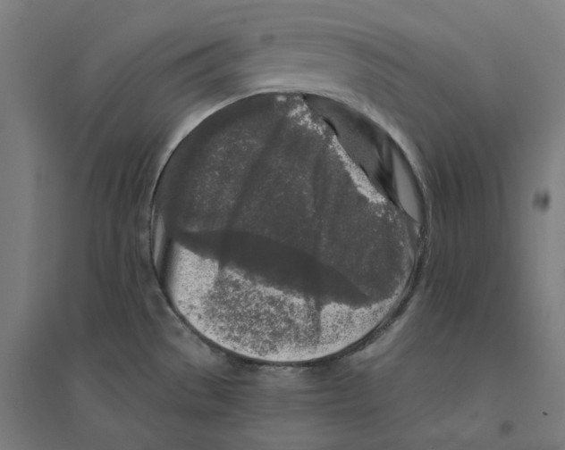 X0000094431529200712061103