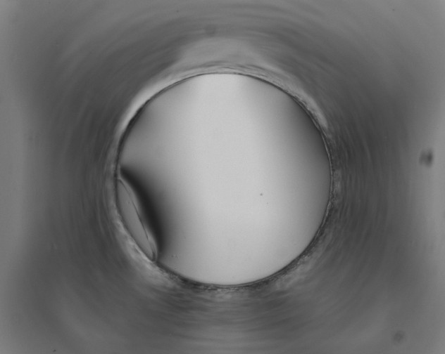 X0000094431530200712061103