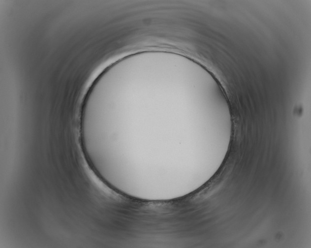 X0000094431531200712061103