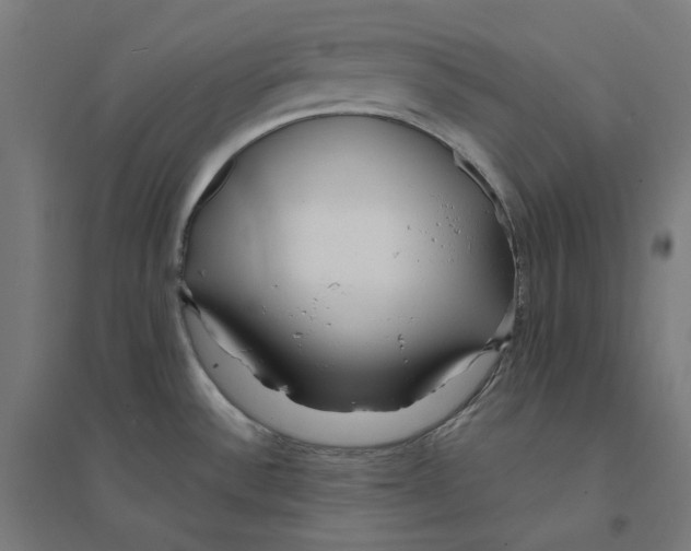 X0000094431532200712061103