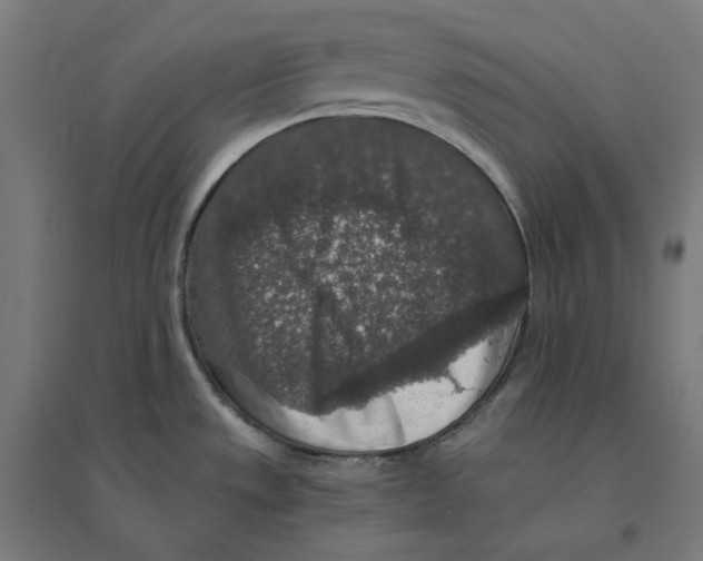 X0000094431533200712061103