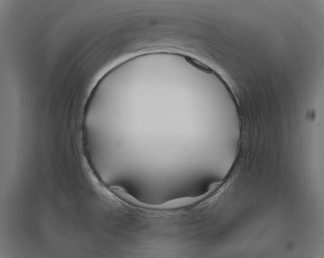 X0000094431534200712061103