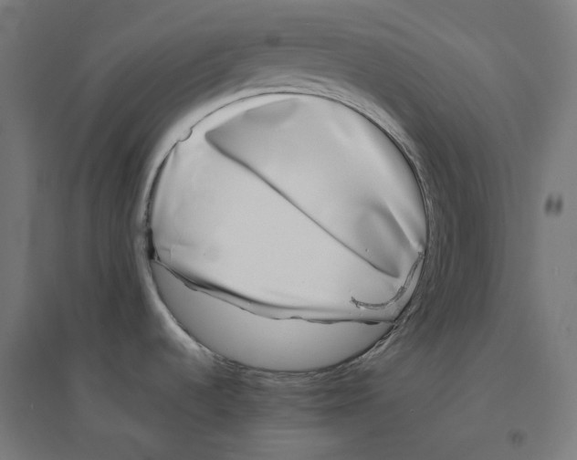 X0000094431536200712061103