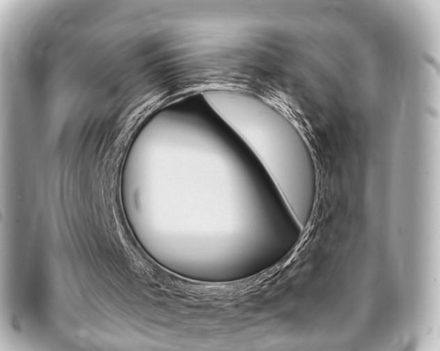 X0000094440001200711081035