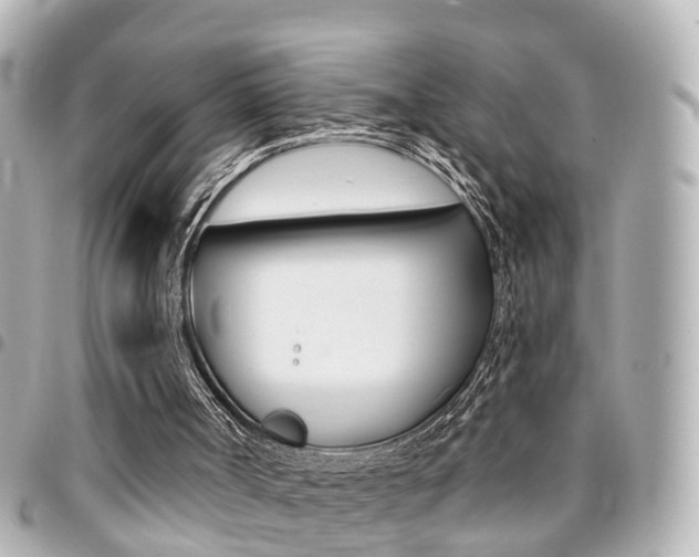 X0000094440002200711081035