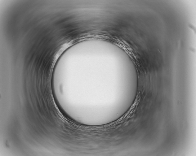 X0000094440003200711081035