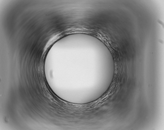 X0000094440004200711081035