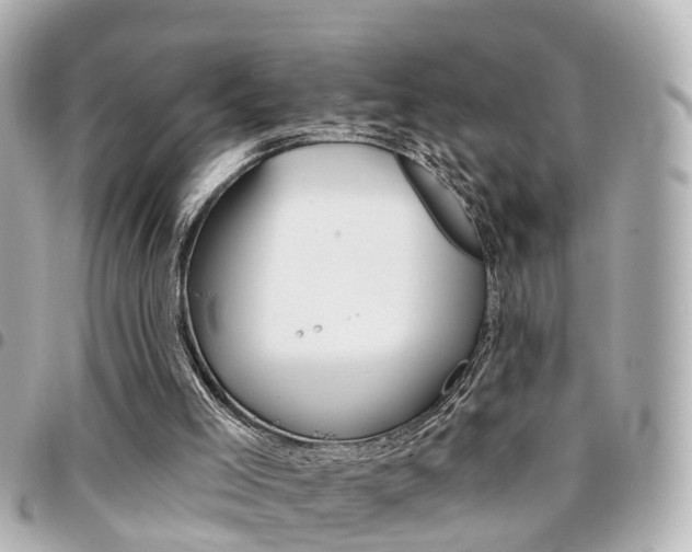 X0000094440005200711081035