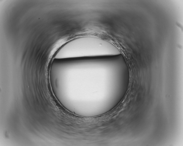 X0000094440006200711081035