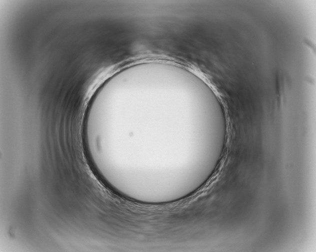 X0000094440007200711081035