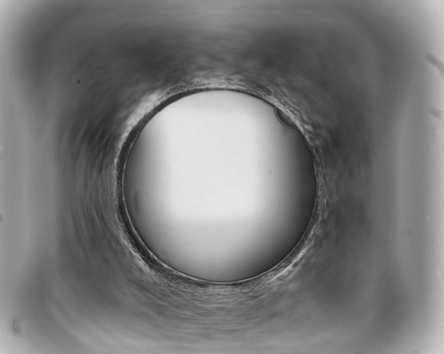 X0000094440008200711081035