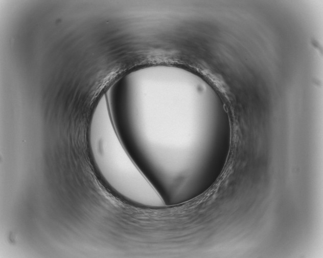 X0000094440009200711081035