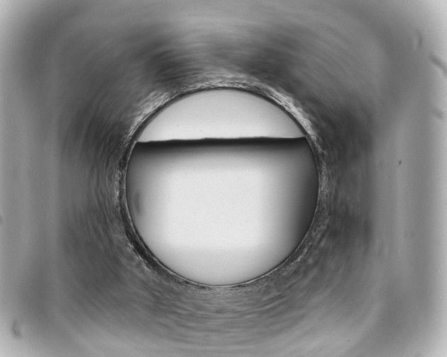 X0000094440010200711081035