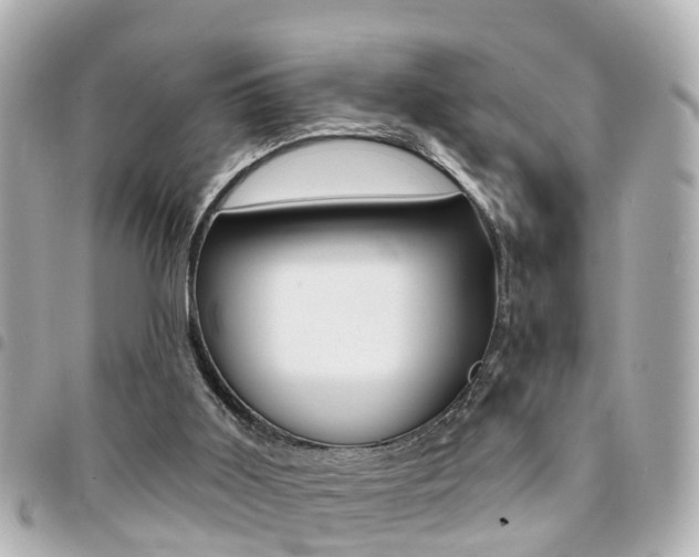 X0000094440011200711081035
