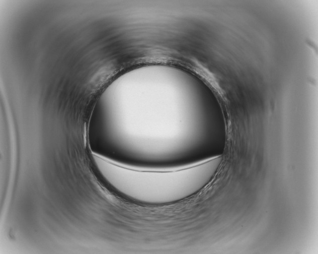 X0000094440013200711081035