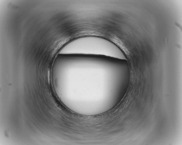 X0000094440014200711081035