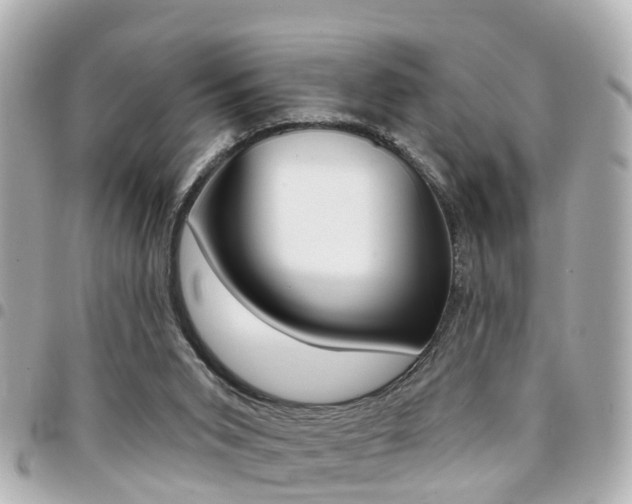 X0000094440015200711081035