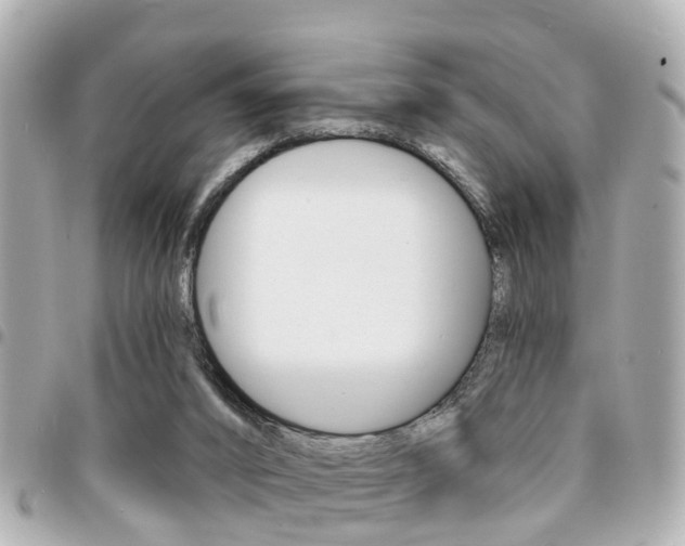 X0000094440016200711081035