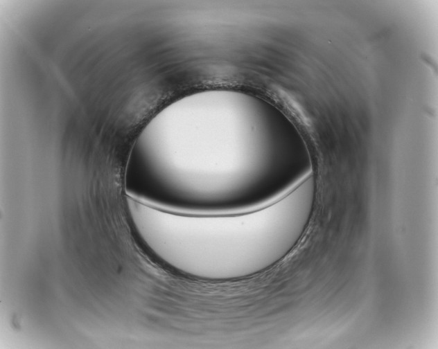 X0000094440017200711081035