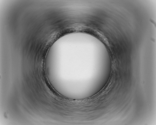X0000094440018200711081035