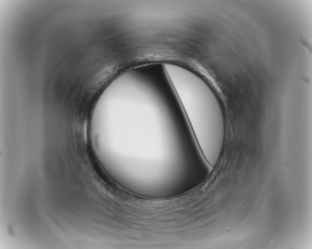 X0000094440019200711081035