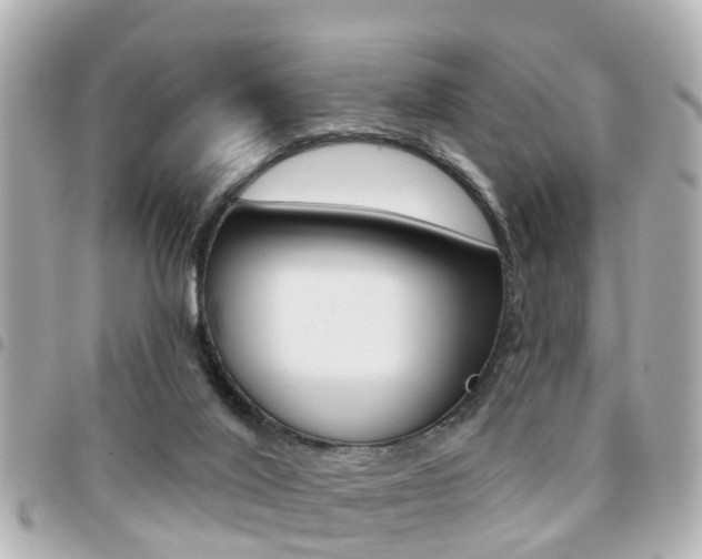 X0000094440020200711081035