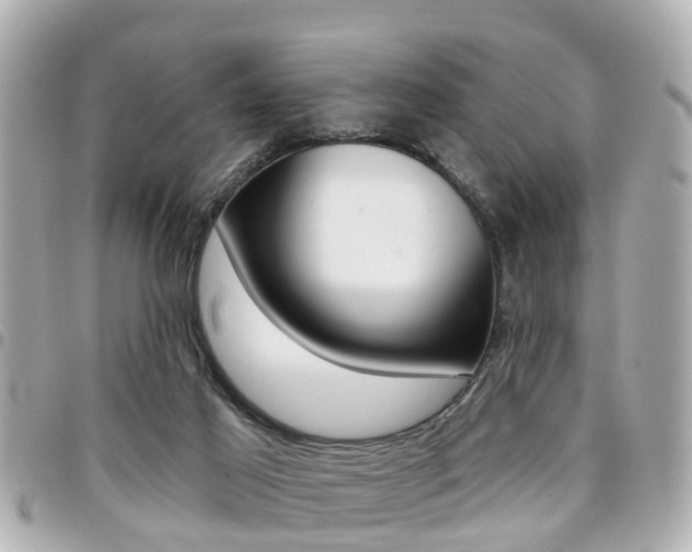 X0000094440021200711081035