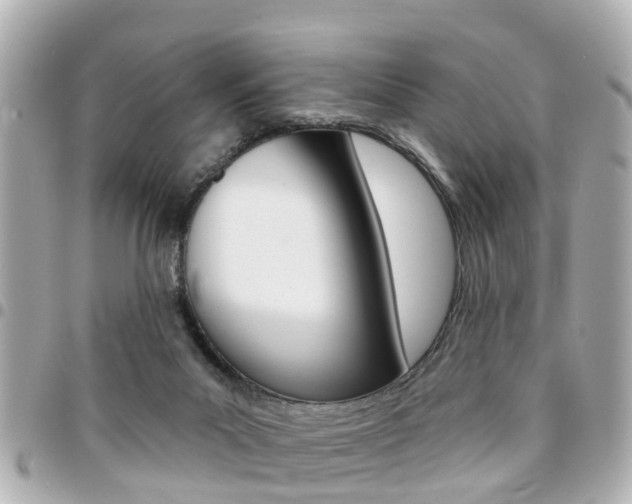 X0000094440023200711081035