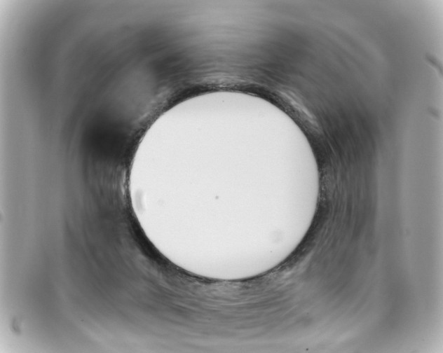 X0000094440024200711081035