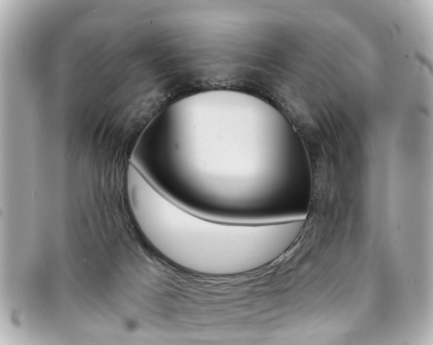 X0000094440025200711081035