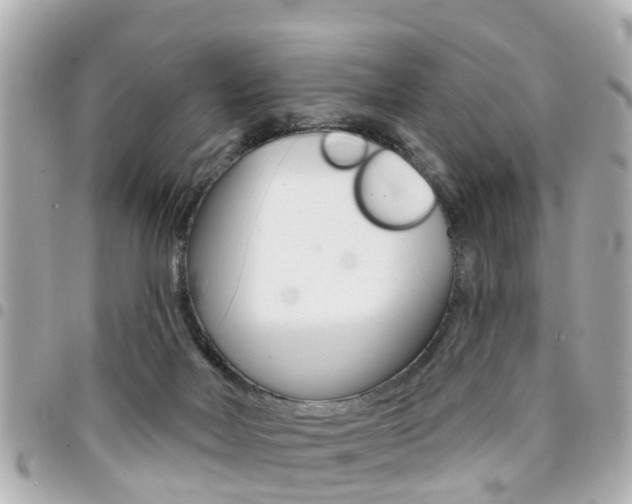 X0000094440026200711081035