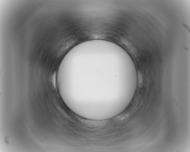 X0000094440028200711081035