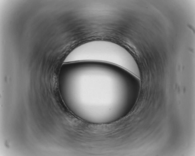 X0000094440029200711081035