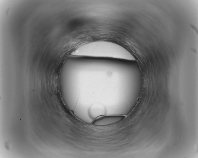 X0000094440030200711081035