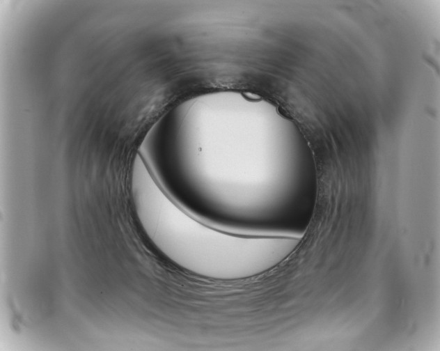 X0000094440031200711081035