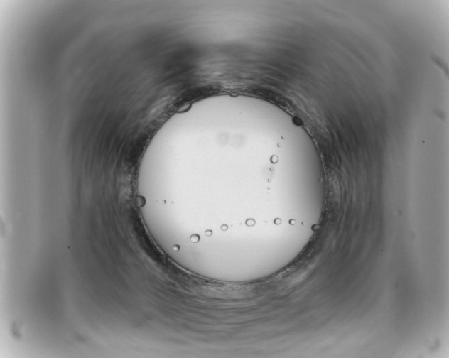 X0000094440032200711081035