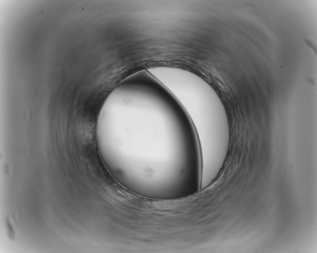 X0000094440033200711081035