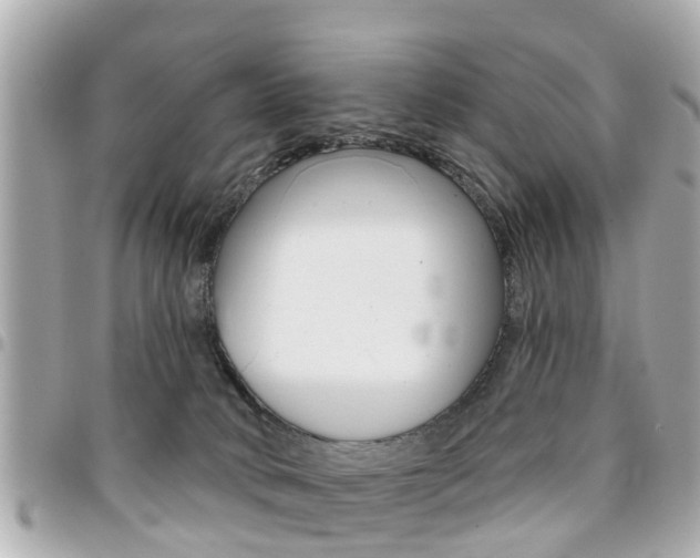 X0000094440034200711081035