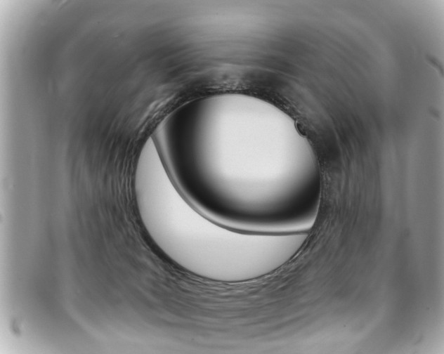 X0000094440035200711081035