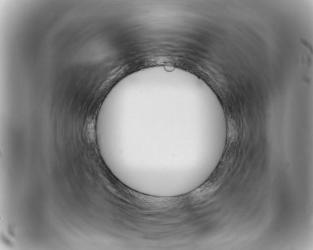 X0000094440036200711081035