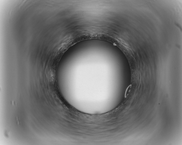 X0000094440039200711081035