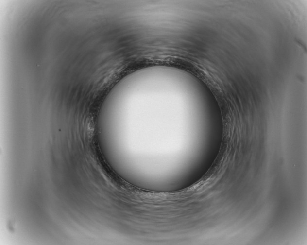 X0000094440040200711081035