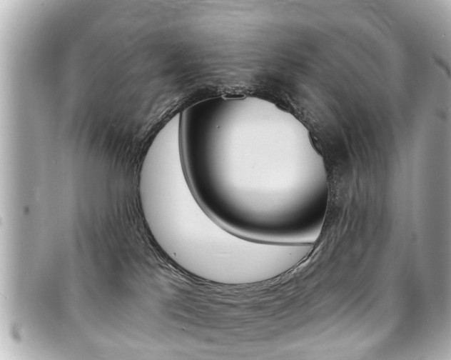 X0000094440041200711081035