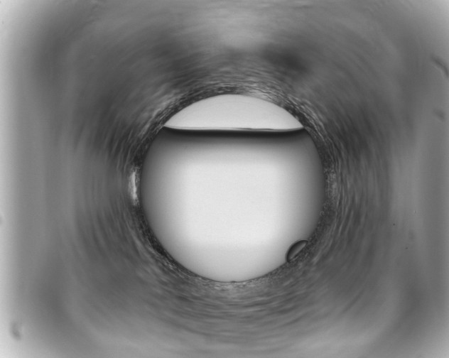 X0000094440042200711081035