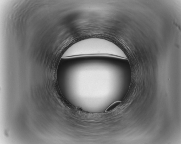 X0000094440044200711081035