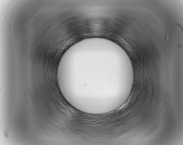 X0000094440045200711081035